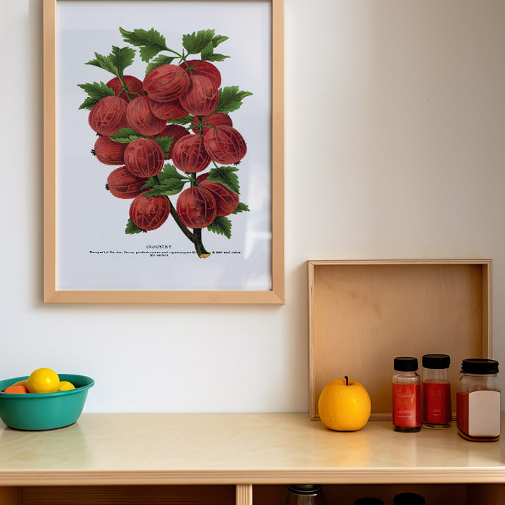 Kitchen Poster - Gooseberry