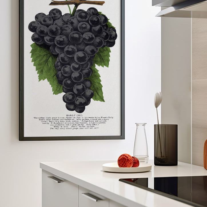 Grape Poster - Kitchen Wall Art