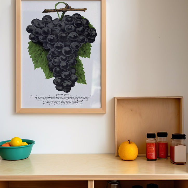 Grape Poster - Kitchen Wall Art