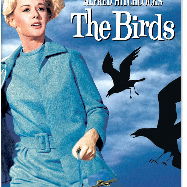 'The Birds' Alfred Hitchcock Movie Poster