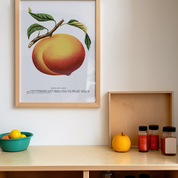 Peach Kitchen Poster